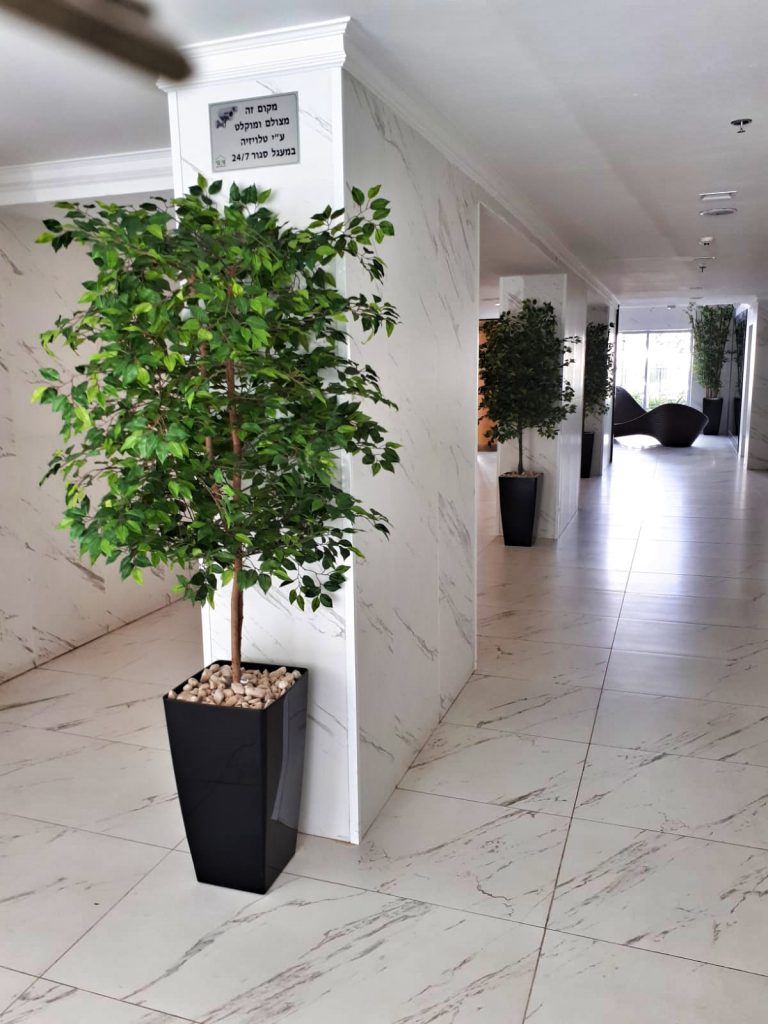 צמחיה מלאכותית לבניין