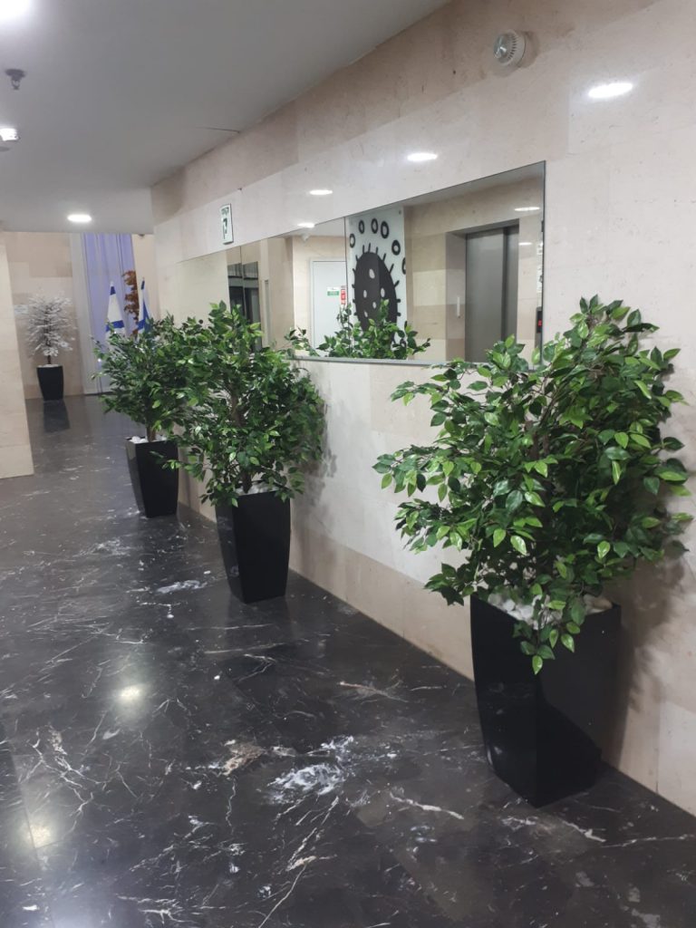 צמחיה מלאכותית ללובי בניין