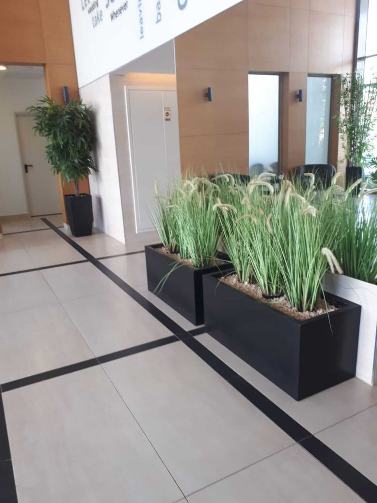 צמחיה מלאכותית לבניין