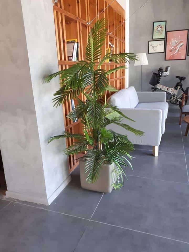 עצים מלאכותיים