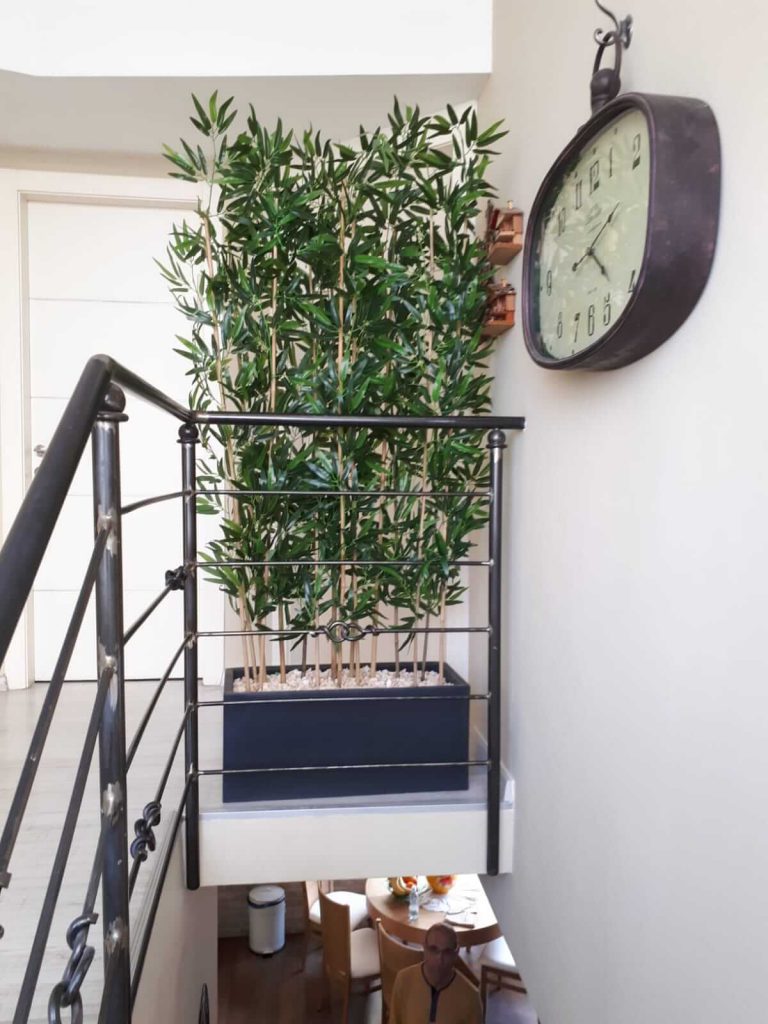 צמחיה מלאכותית נופלת