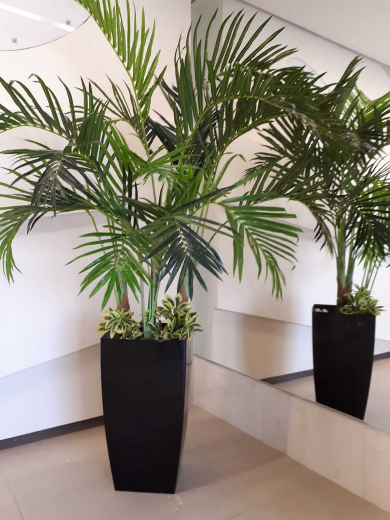 עציץ מלאכותי ליד מראה