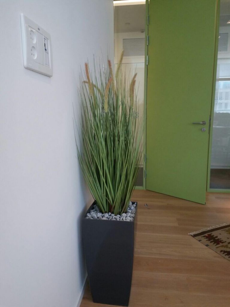 עציץ מלאכותי בצד