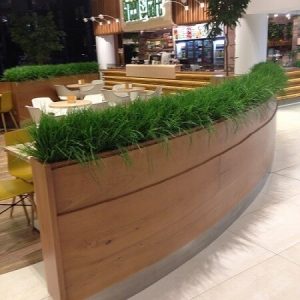 עדנית עם צמחיה מלאכותית