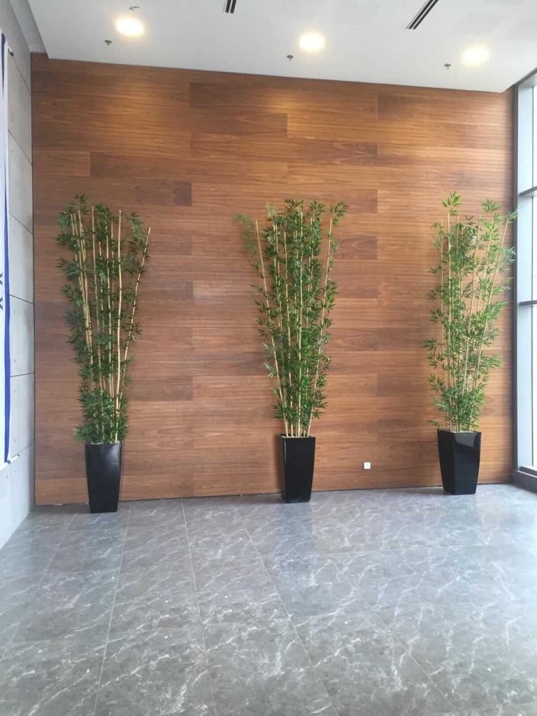 עציצים מלאכותיים גבוהים