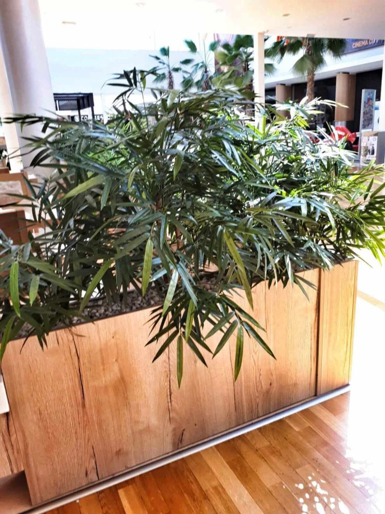 עציץ מלאכותי בתוך עדנית מעץ