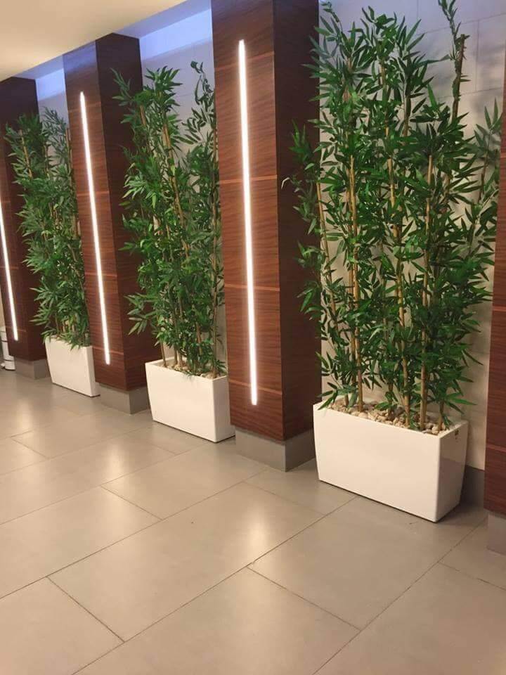 צמחיה מלאכותית לבניין