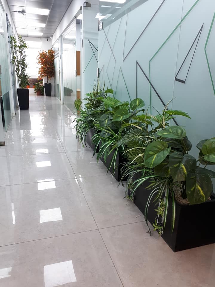 אדניות משולבות עם קוקטייל צמחים ונשפכים