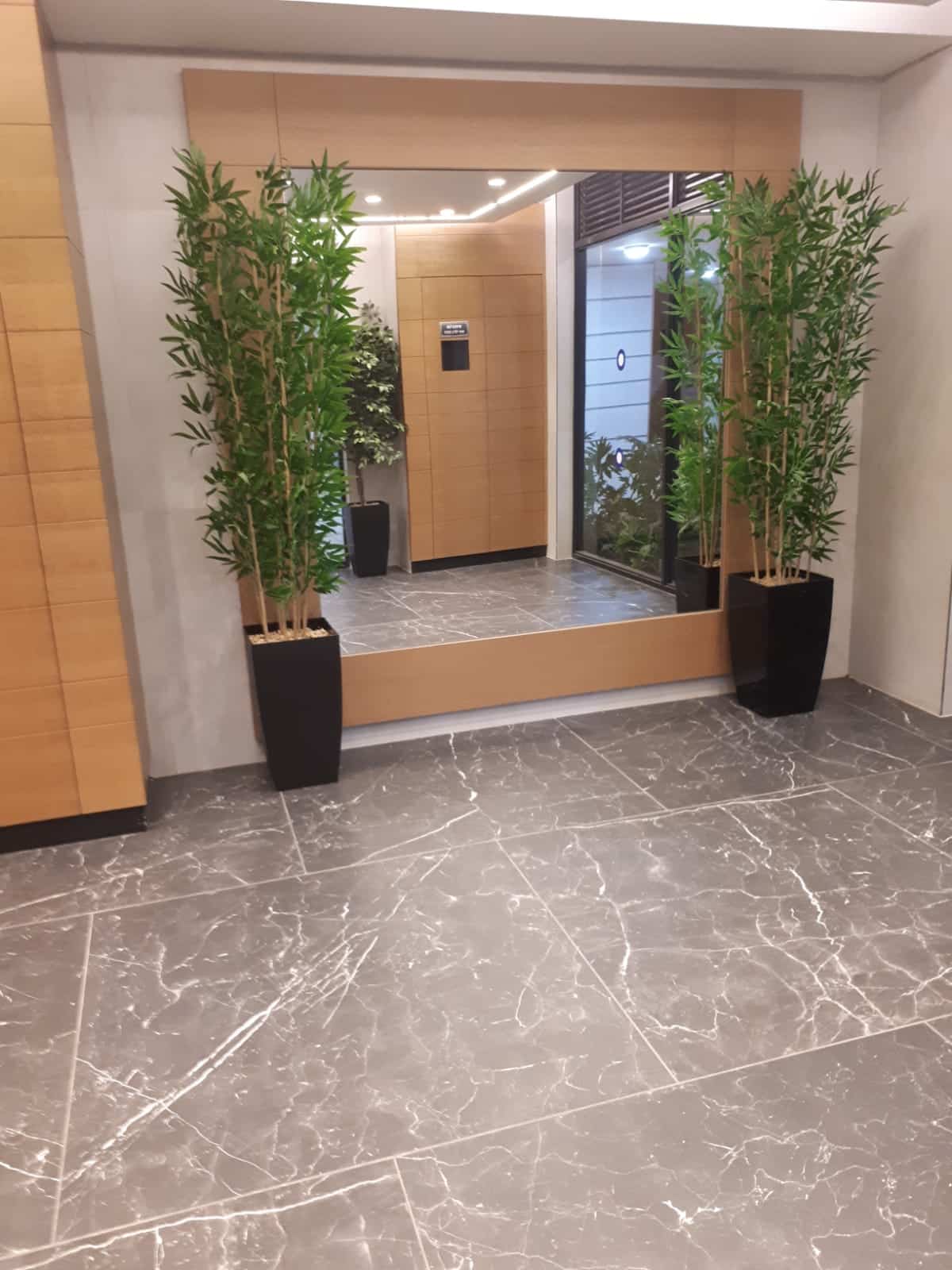 זוג כדים עם קני במבוק