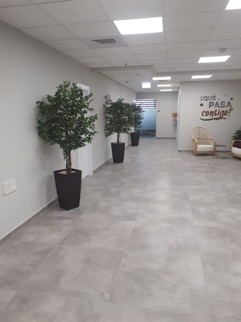 שדרת פיקוסים כנוי למשרד