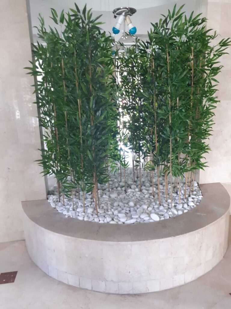 במבוקים צמחיה מלאכותית