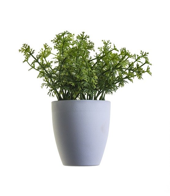 צמחיה מלאכותית פתח תקווה