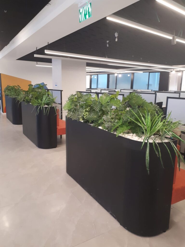 קירות ירוקים עמידים לשמש