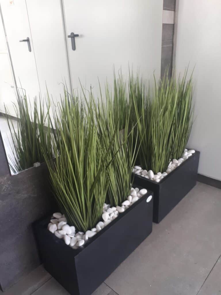 קירות ירוקים עמידים לשמש