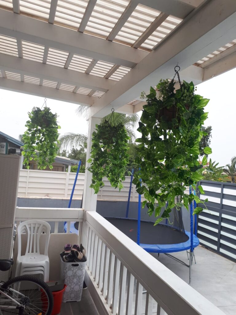 קירות ירוקים עמידים לשמש