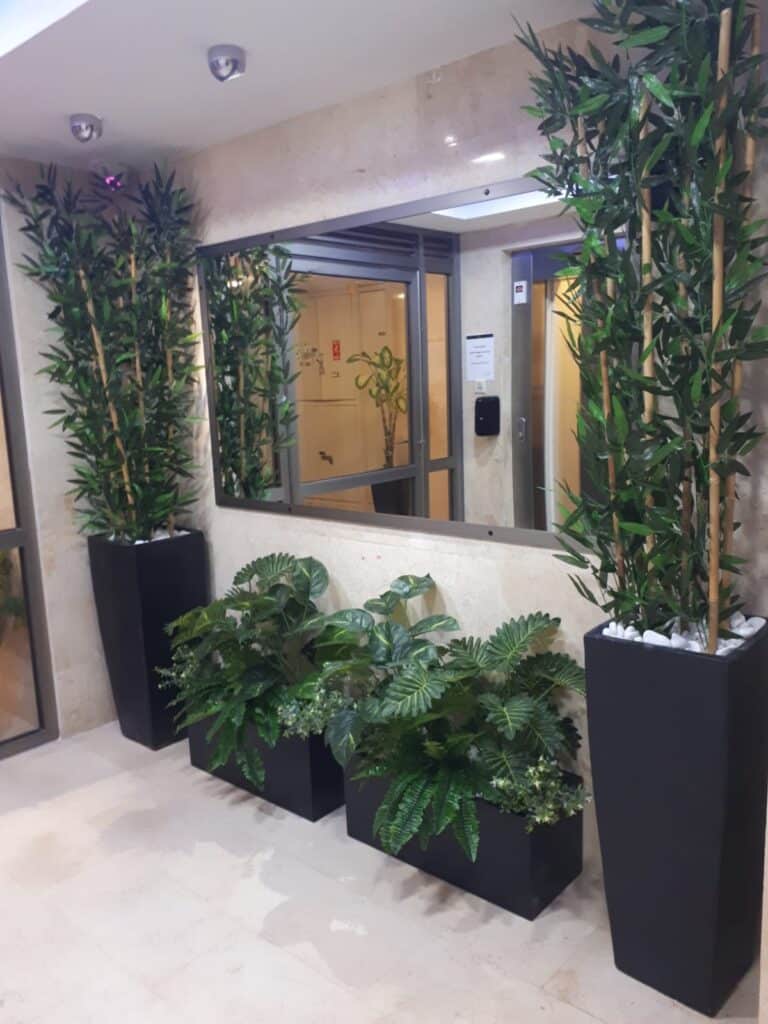 קירות ירוקים עמידים לשמש