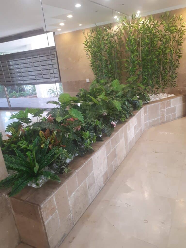 קירות ירוקים עמידים לשמש