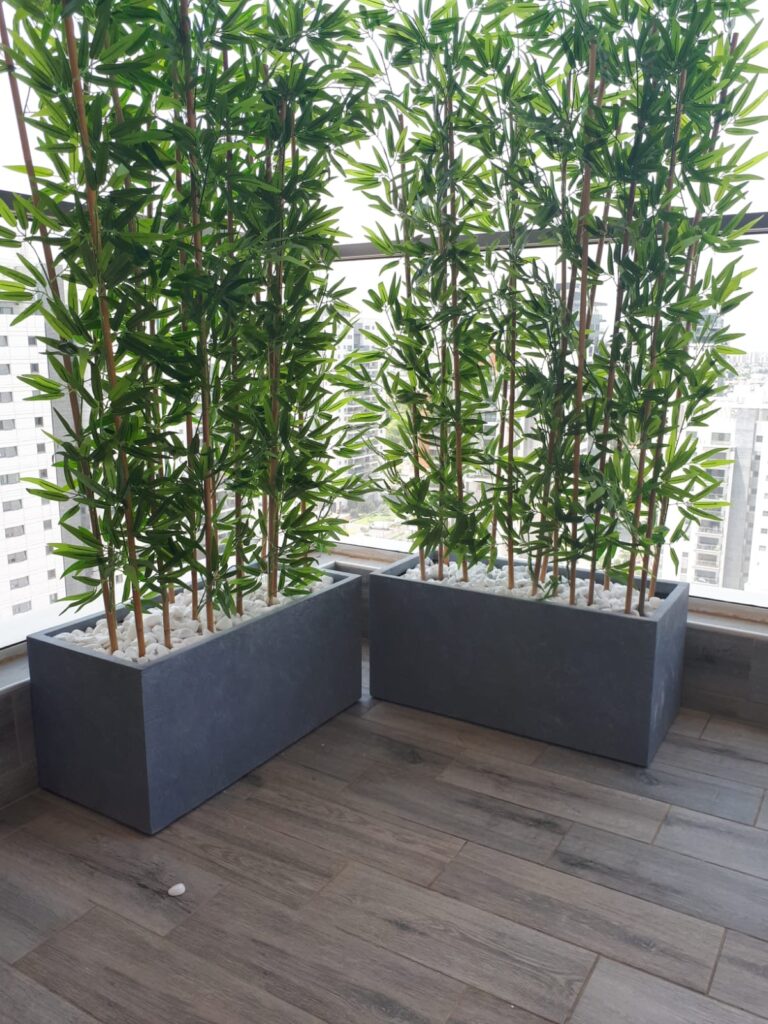 קירות ירוקים עמידים לשמש