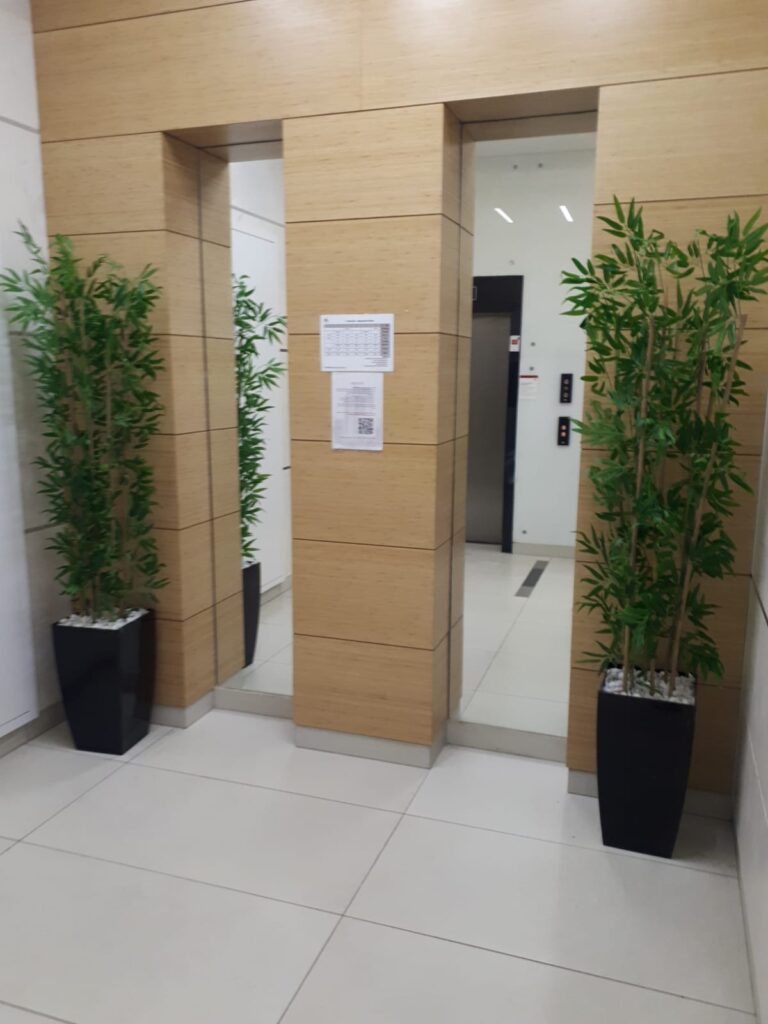 קירות ירוקים עמידים לשמש