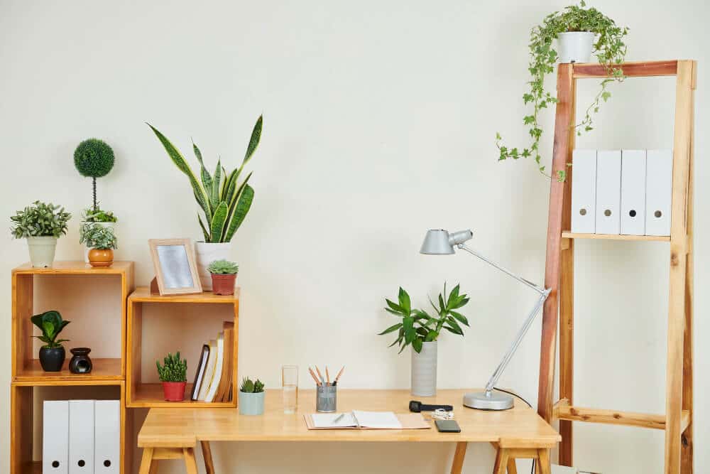 עיצוב משרד ביופילי