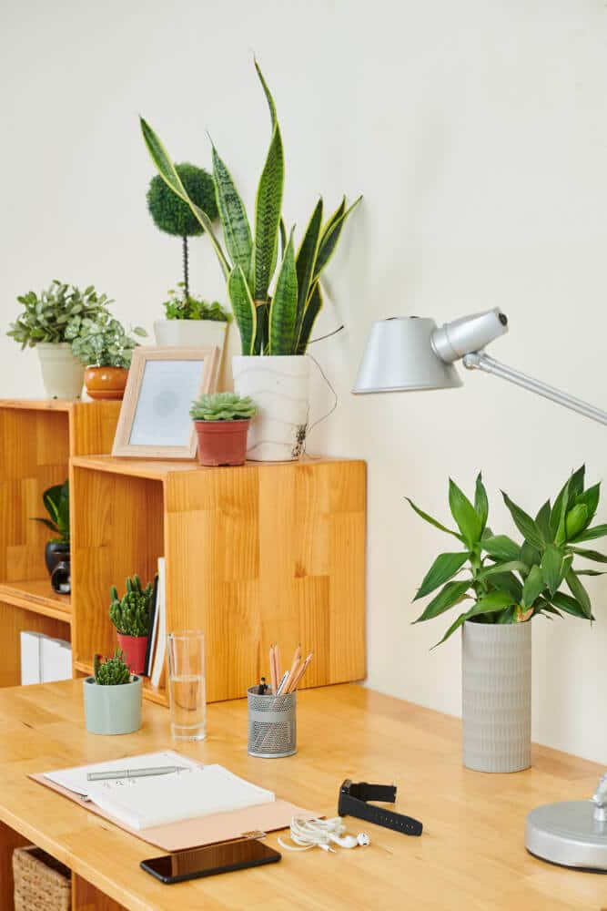 עיצוב משרד ביופילי