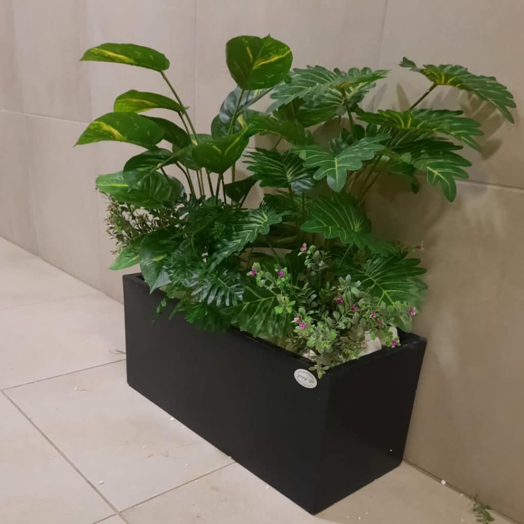 קוקטייל צמחים באדנית