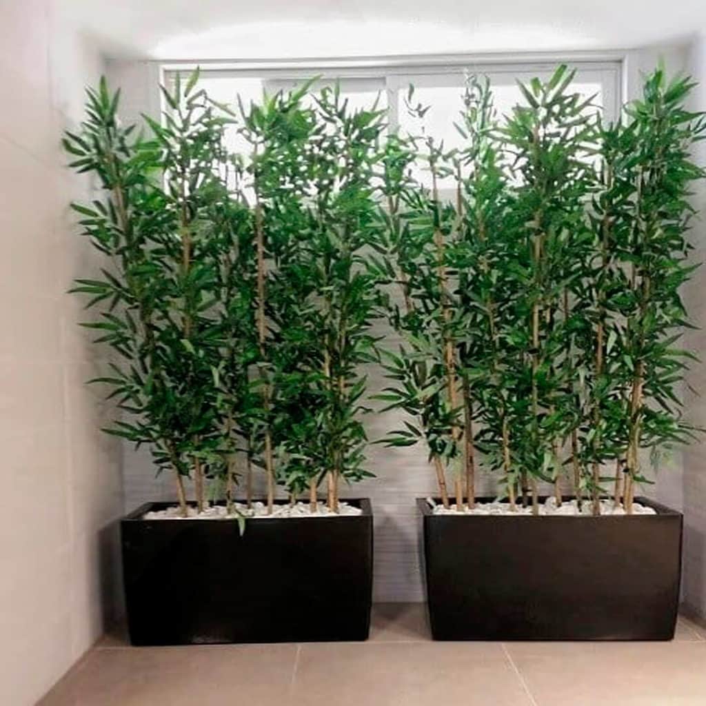 אדנית עם קני במבוק