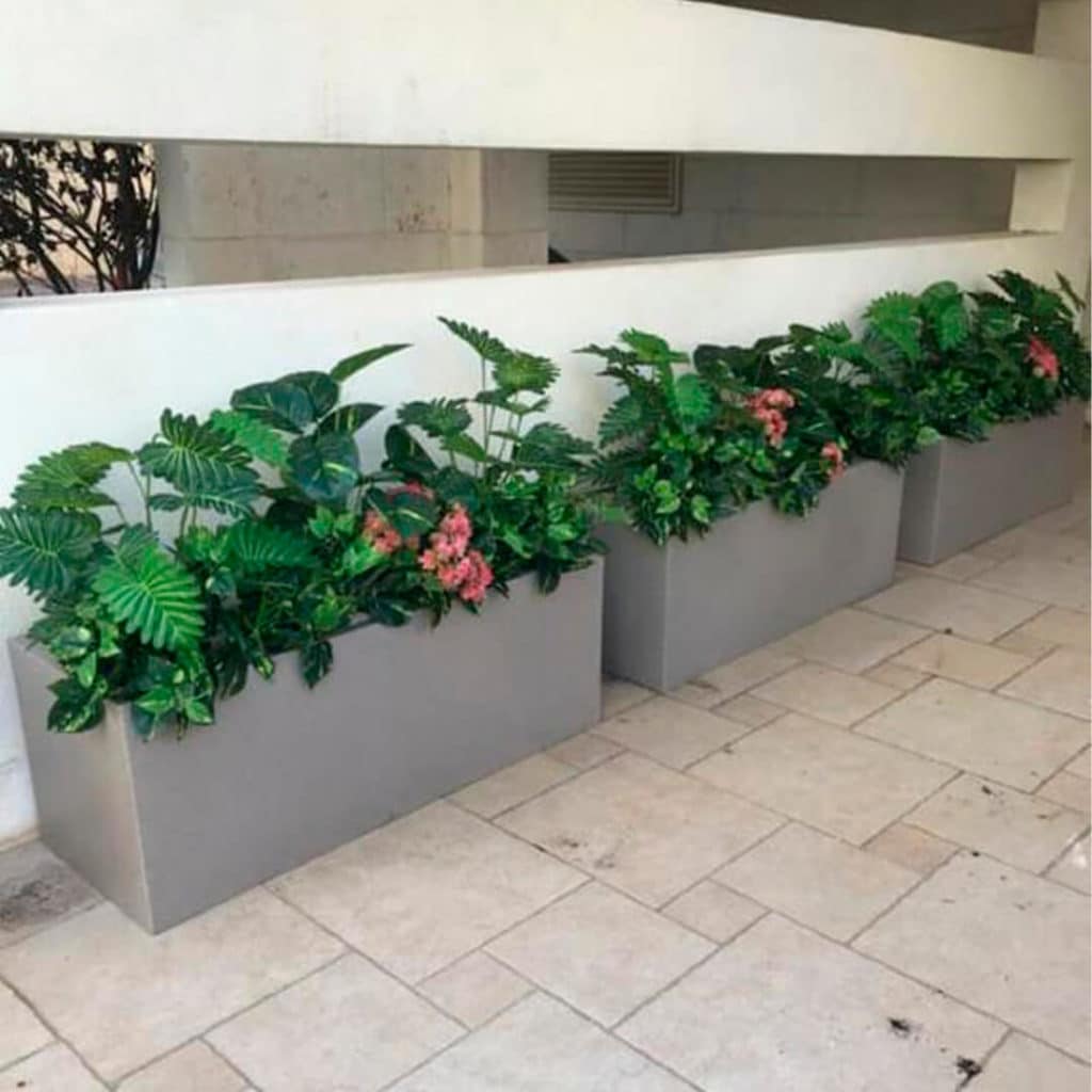 אדנית קוקטייל צמחים