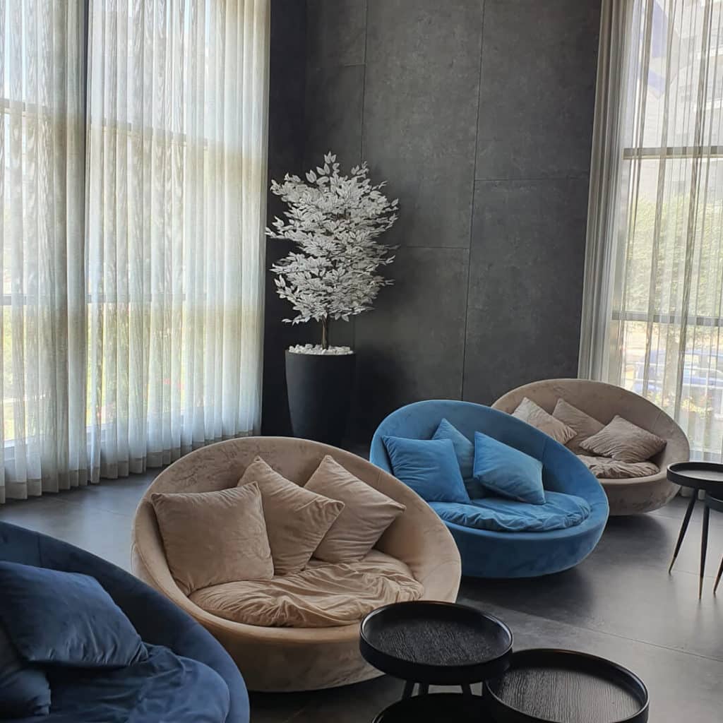 פיקוס לבן בכד שחור