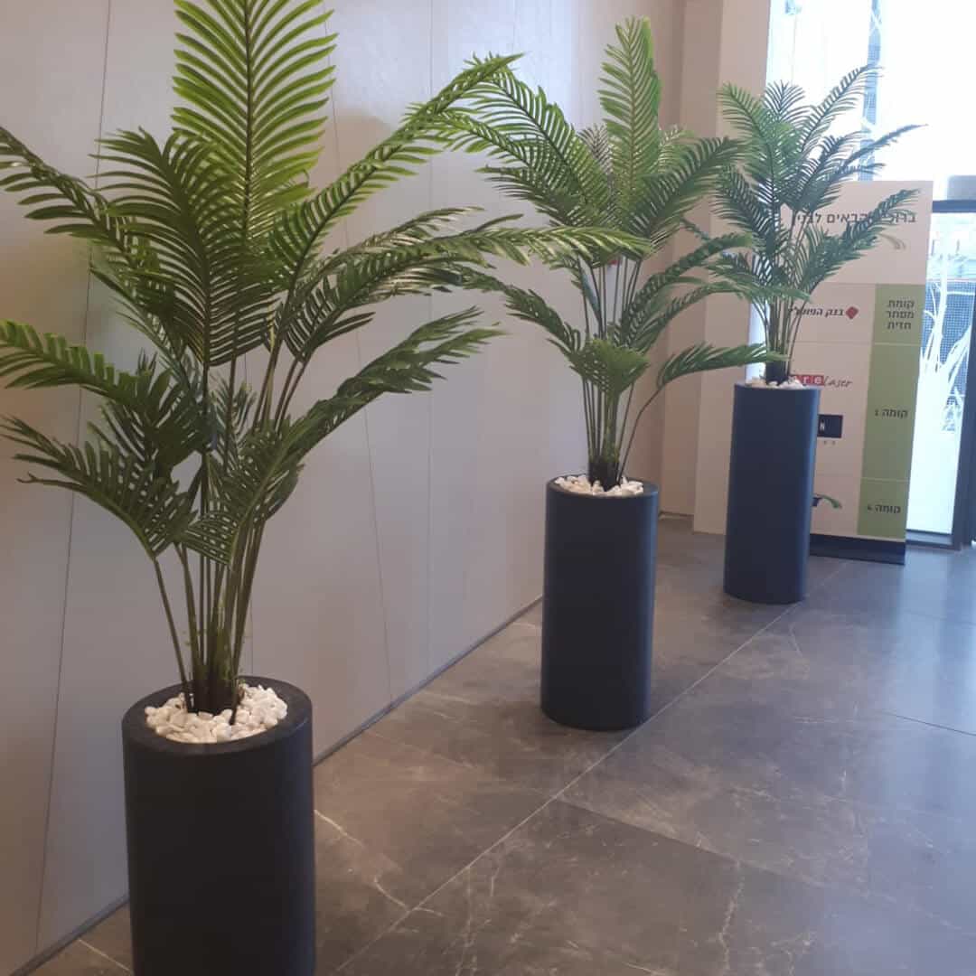 כד עגול עם דקל