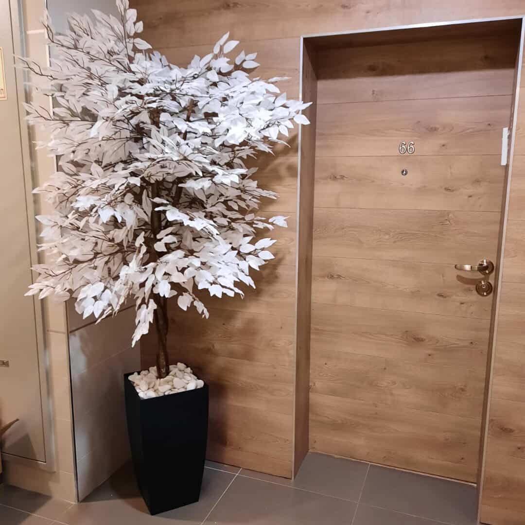 כד מרובע עם צמחיה לבנה