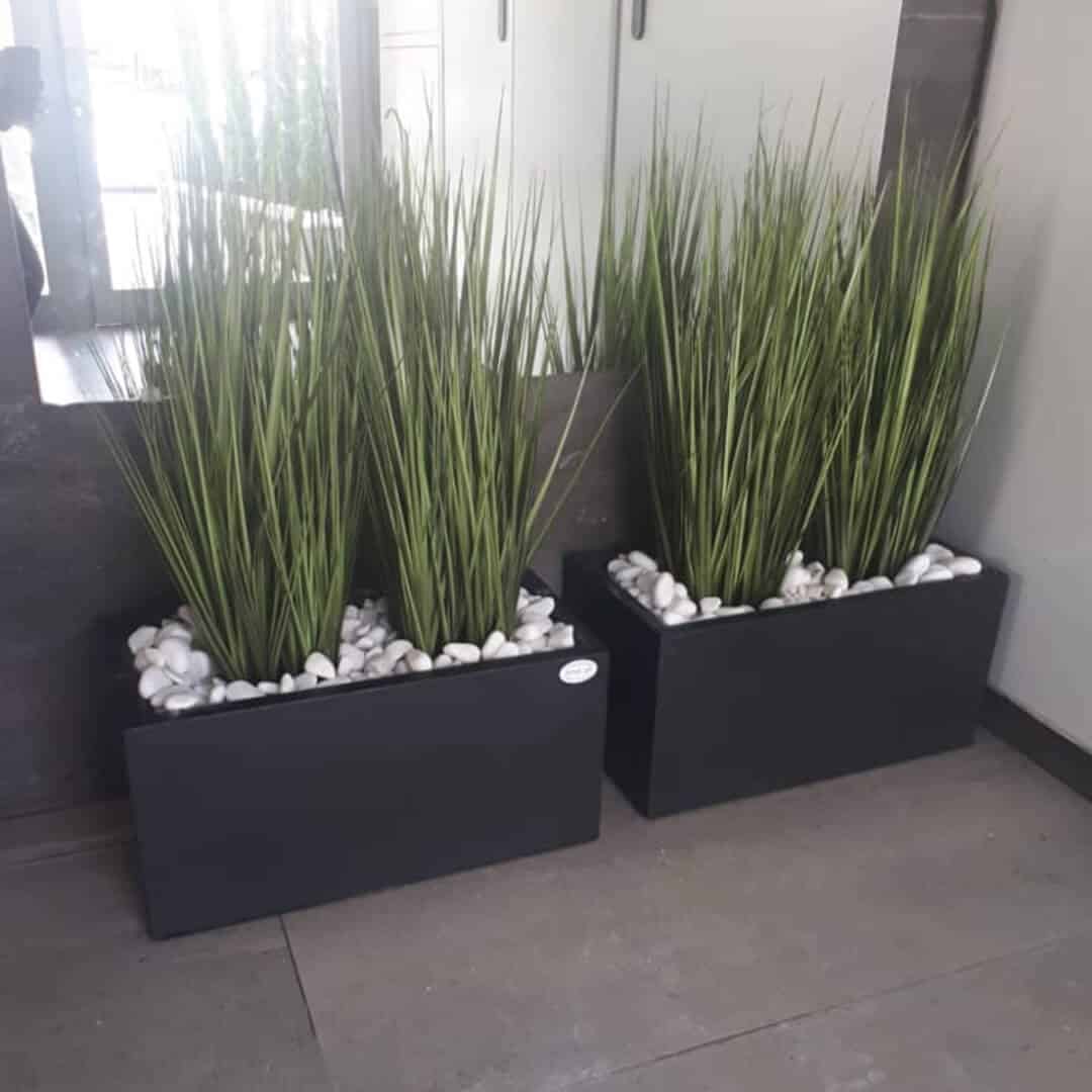 זוג זיף נוצה באדנית 70/30