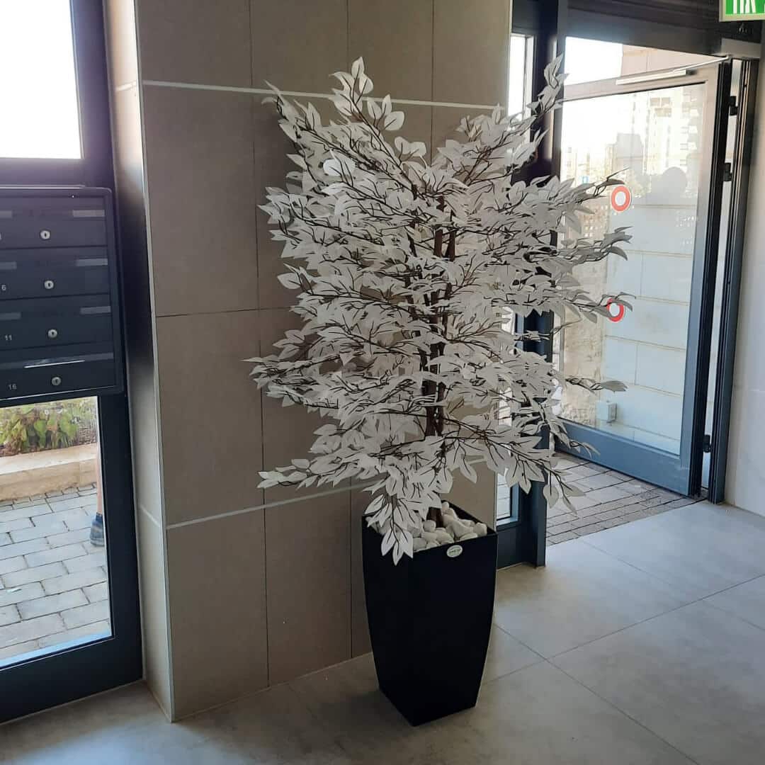 כד מרובע עם צמחייה לבנה