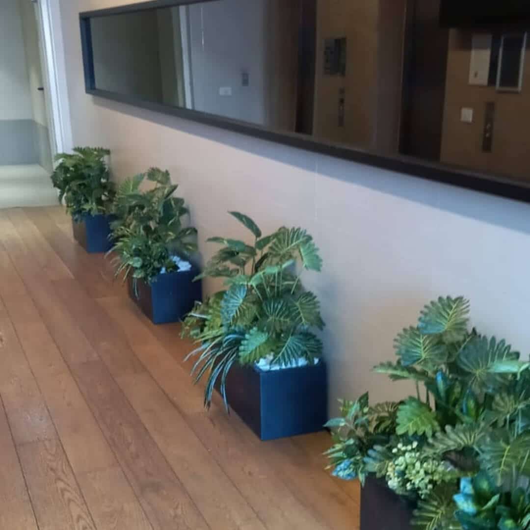 אדנית 70/30 עם קוקטייל צמחים מגוון