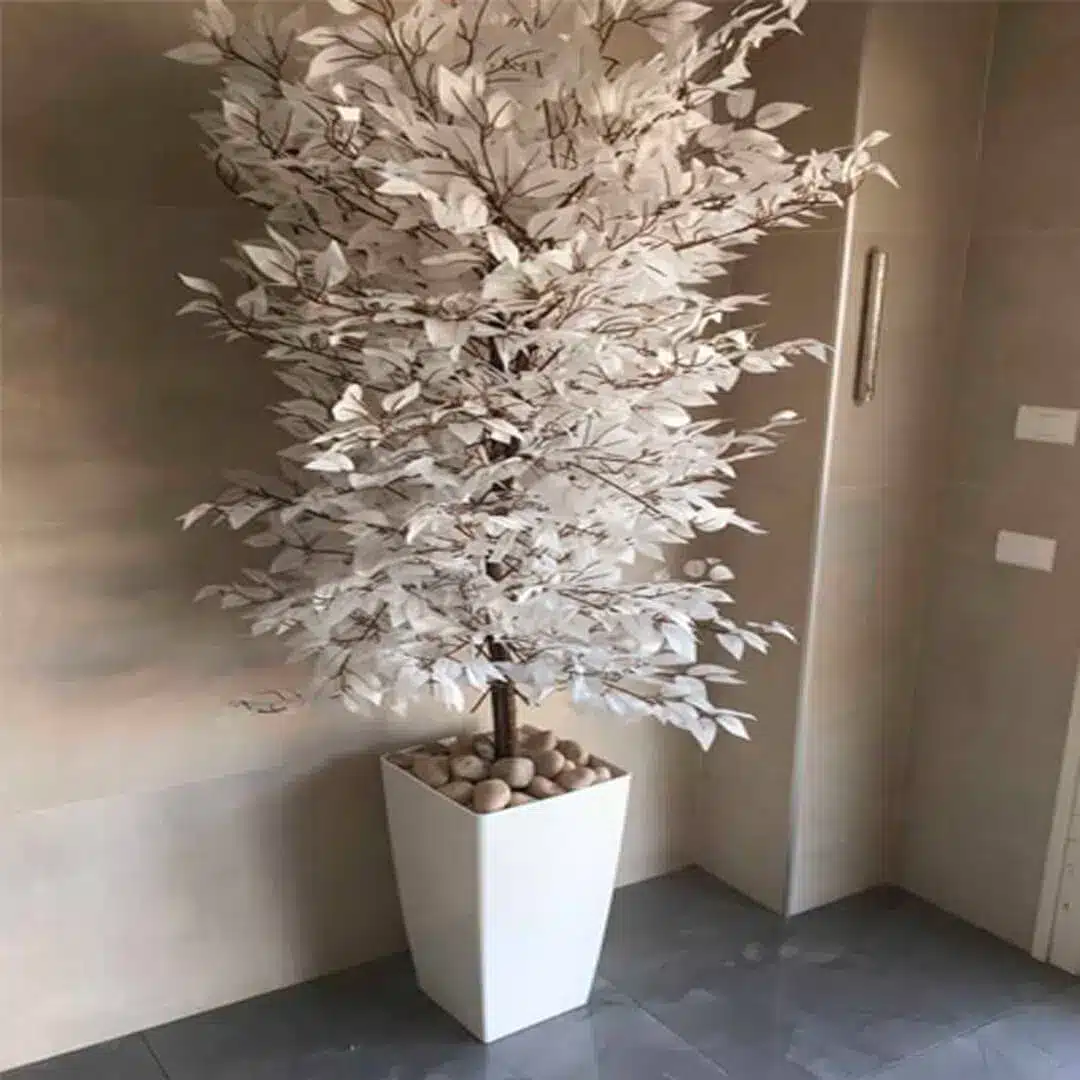 אדנית עם קני בקבוק