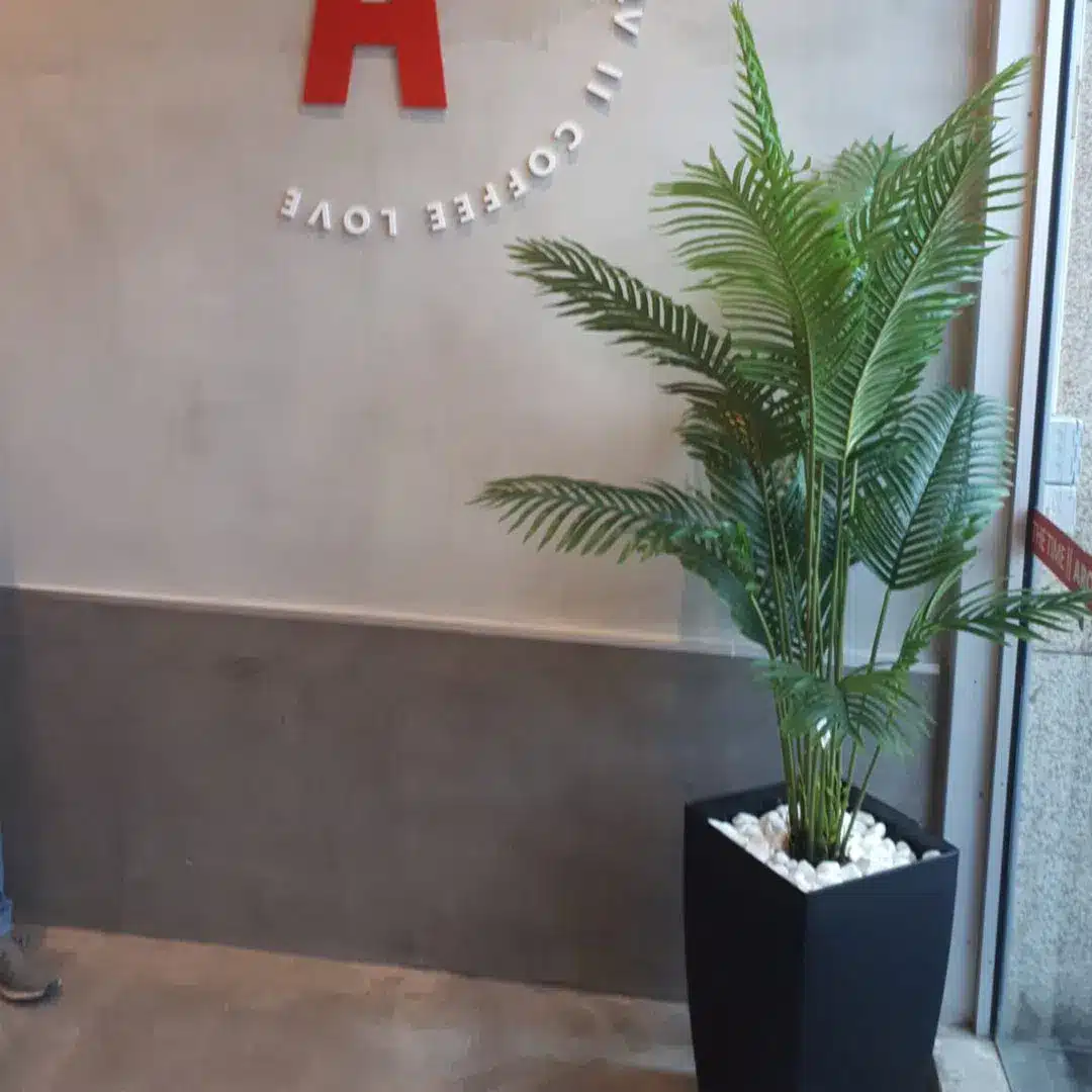 אדנית עם קני בקבוק