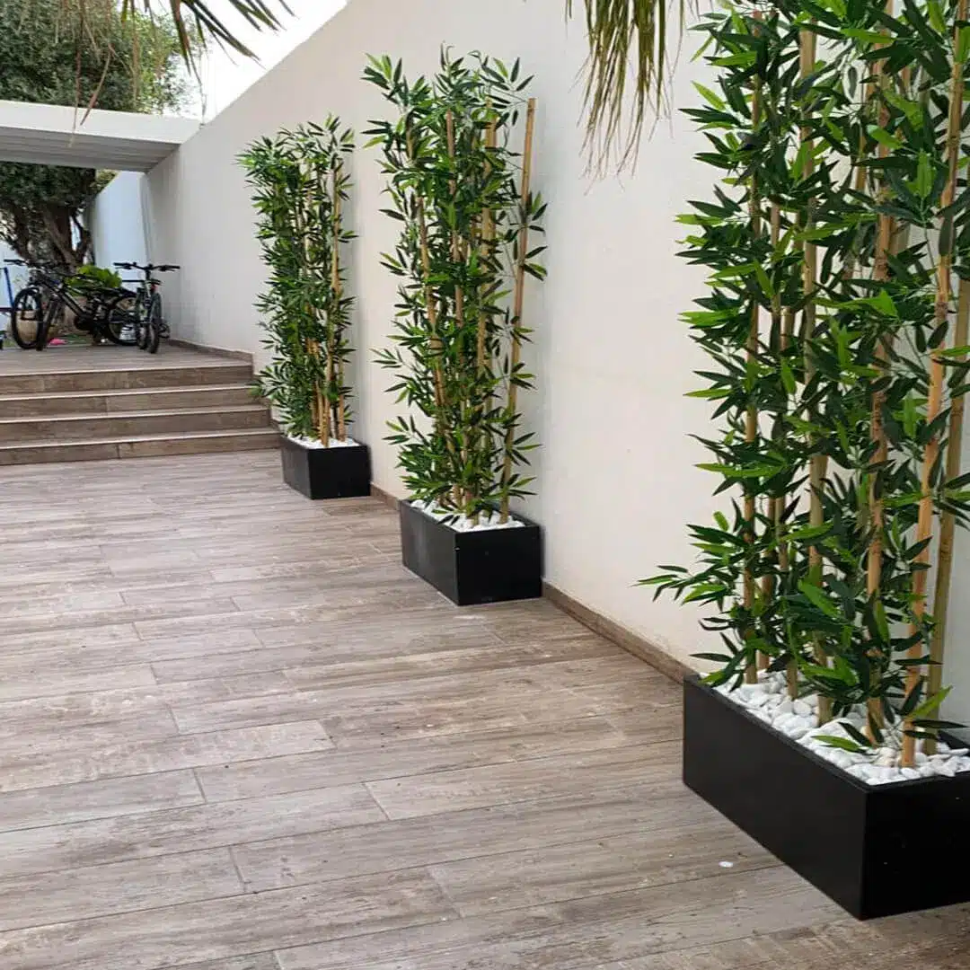 אדנית עם קני בקבוק