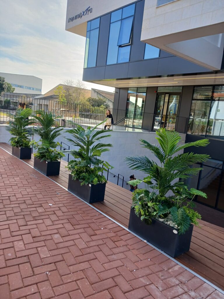 מכללת רופין