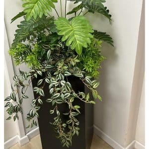 קוקטייל מגוון