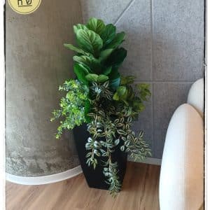 קוקטייל מגוון