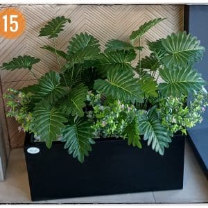 קוקטייל צמחים בכלי מלבני