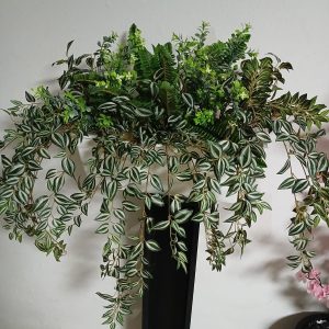 שיח גולש עשיר