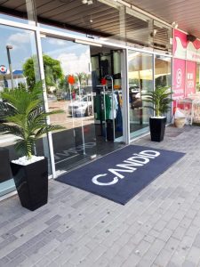 עציצים מפלסטיק למשרד