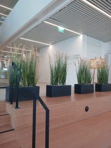 עציצים מלאכותיים