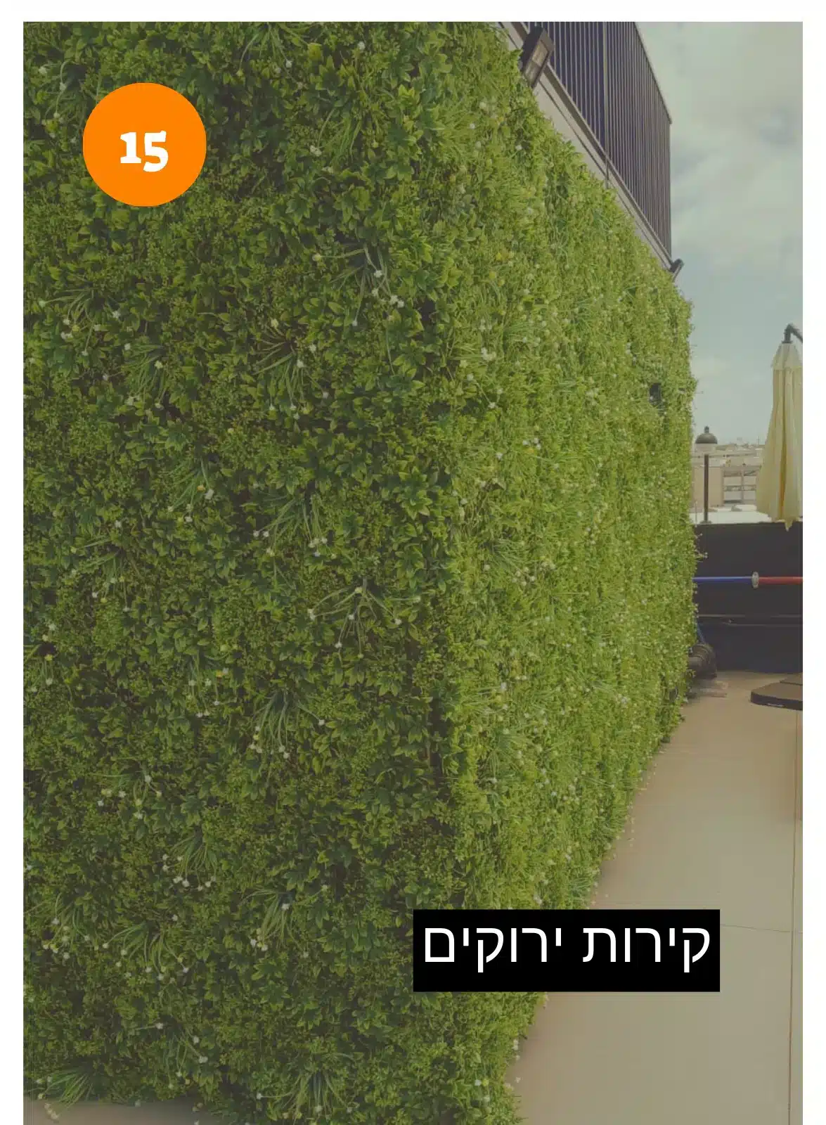 עציצים מלאכותיים