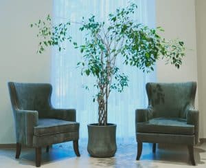 עץ מלאכותי ללובי