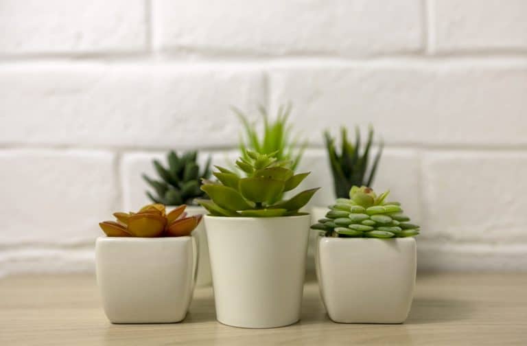 צמחיה מלאכותית לרכישה