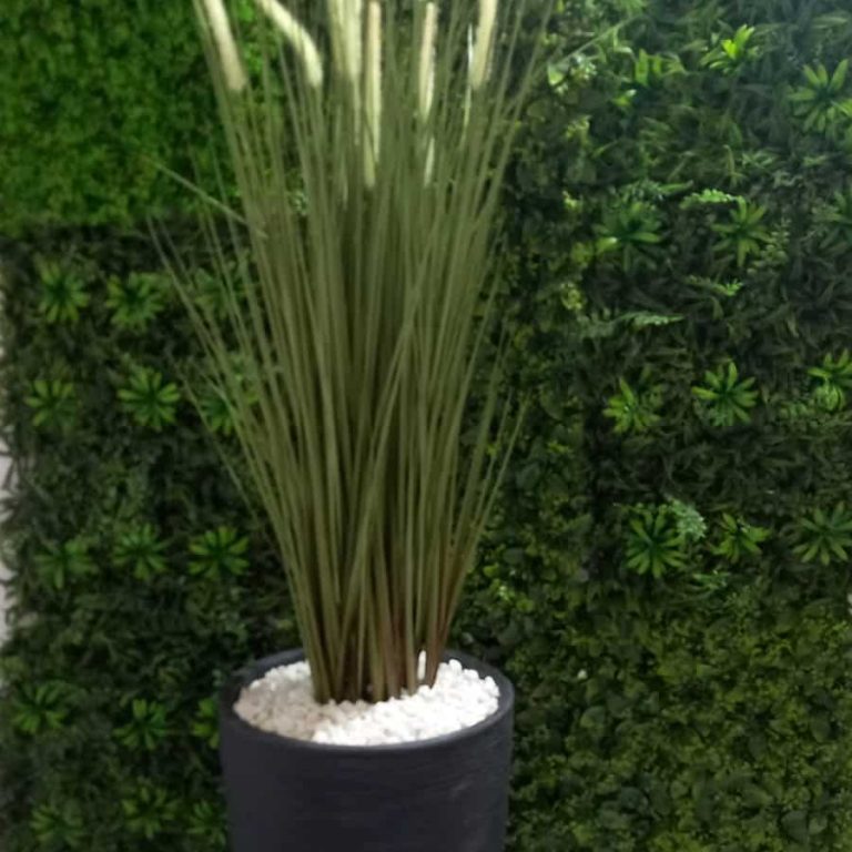 זיף נוצה 1.50 מ'