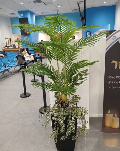 WhatsApp Image 2024-12-25 at 09.20.03