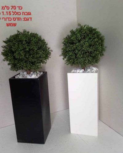 WhatsApp Image 2024-12-30 at 21.22.26